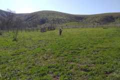 el-remolino-land-tijuana-ground-view