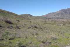 el-remolino-near-dart-toyota-villas