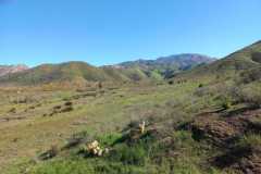 el-remolino-property-near-border