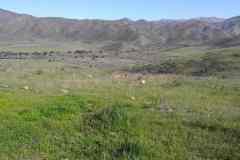 rancho-el-remolino-venta-terreno-1-min