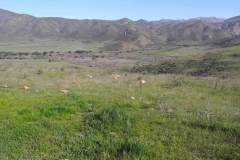 rancho-el-remolino-venta-terreno-1