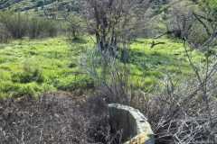 rancho-el-remolino-venta-terreno-12