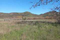 rancho-el-remolino-venta-terreno-13
