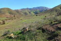 rancho-el-remolino-venta-terreno-14