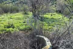 rancho-el-remolino-venta-terreno-6