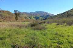 rancho-el-remolino-venta-terreno-8