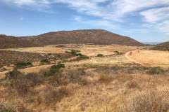 terreno-en-san-vicente-baja-california-3