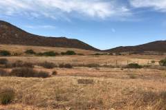 terreno-en-san-vicente-baja-california-8